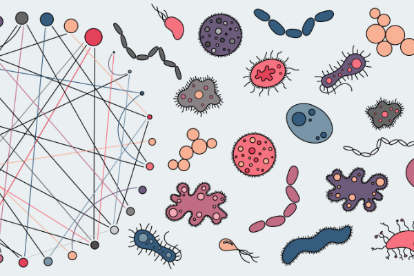 Metabolite and species dynamics in microbial communities